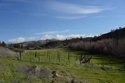 DSC_1089 (Large).JPG